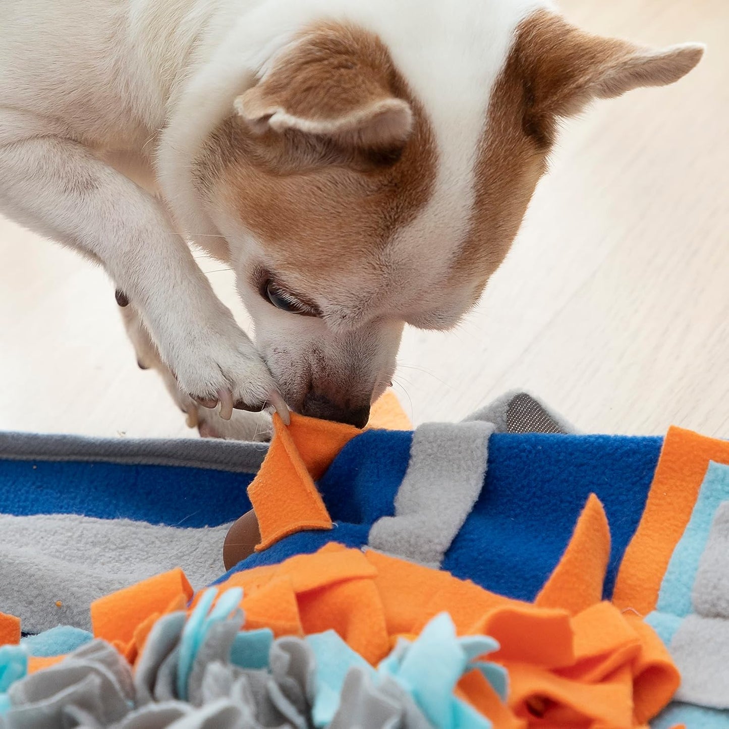 InnovaGoods® Tapis olfactif pour animaux Fooland, stimule l'odorat de votre animal et le garde occupé, avec 3 compartiments pour remplir de friandises ou de snacks, idéal pour les chiens et les chats.