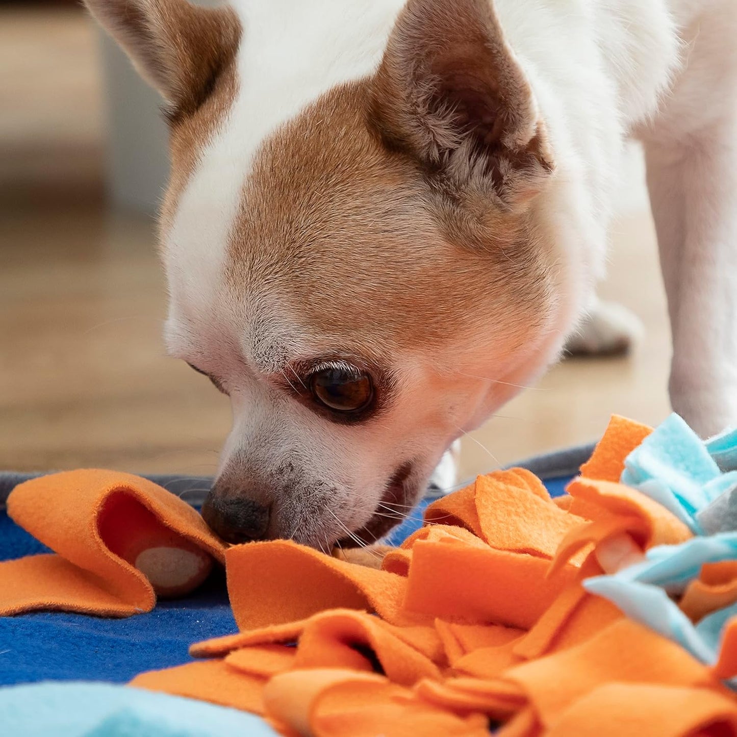 InnovaGoods® Tapis olfactif pour animaux Fooland, stimule l'odorat de votre animal et le garde occupé, avec 3 compartiments pour remplir de friandises ou de snacks, idéal pour les chiens et les chats.