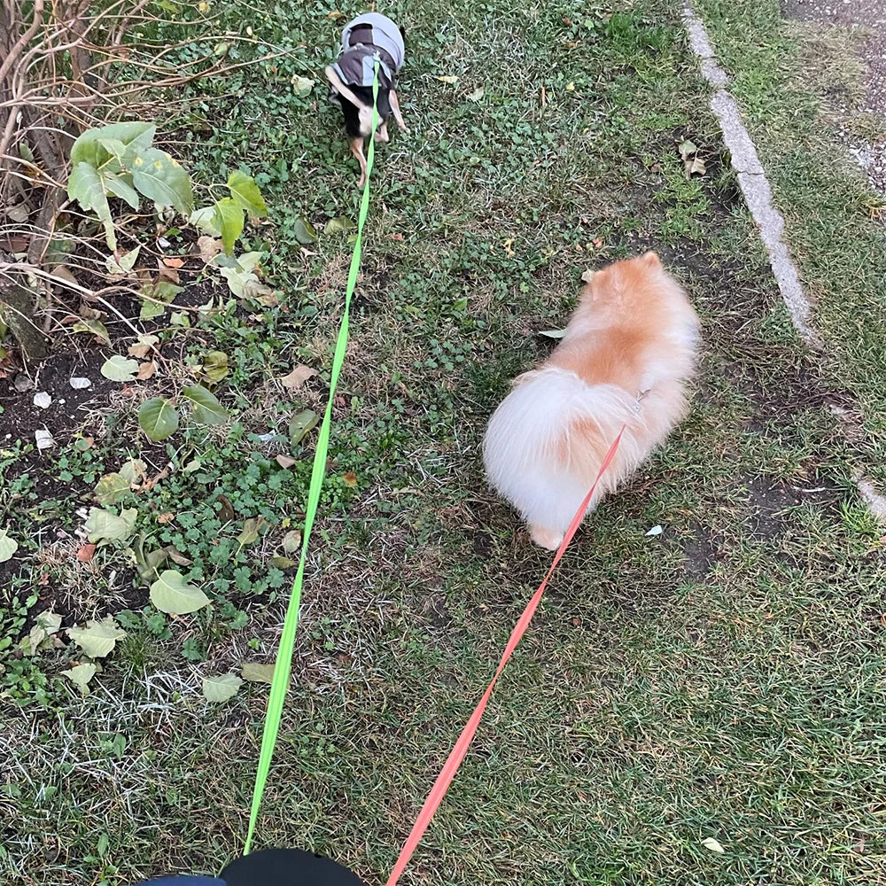 Laisse Double Rétractable pour Chiens 3m – Avec Lampe LED et Distributeur de Sacs