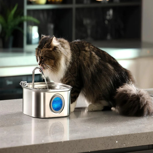 ZYfeeder Distributeur Automatique Pour Chats Avec Fontaine Inox Et Gamelle Hygiénique Moderne by LSDLBoutique.ch