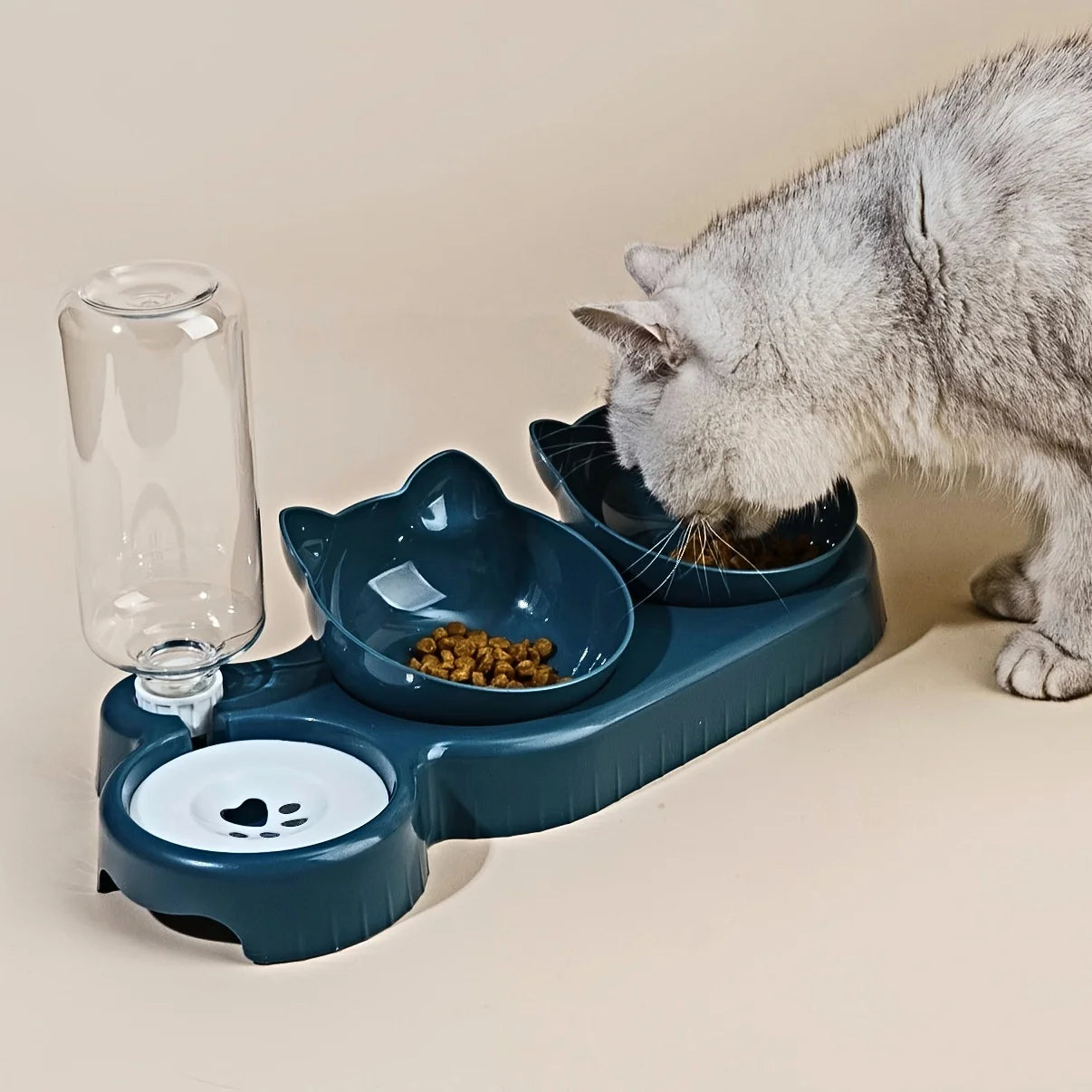 Gamelle 3-en-1 pour chat avec distributeur d’eau – Bols inclinés antidérapants