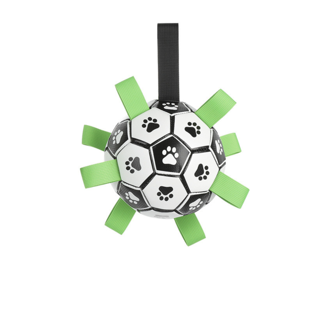 Interactive Outdoor Toy for Dogs – 15/19cm with Bell