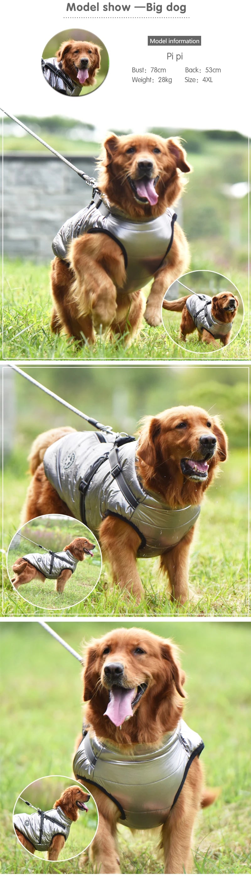 CDDMPET Veste Pour Chien Imperméable Chaude Grande Taille Harnais