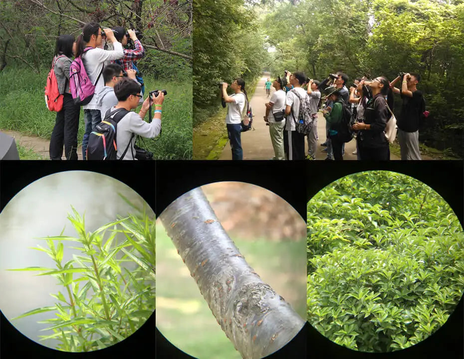 SVBONY SV47 8x42 BAK4 FMC HD IPX7 Waterproof Binoculars