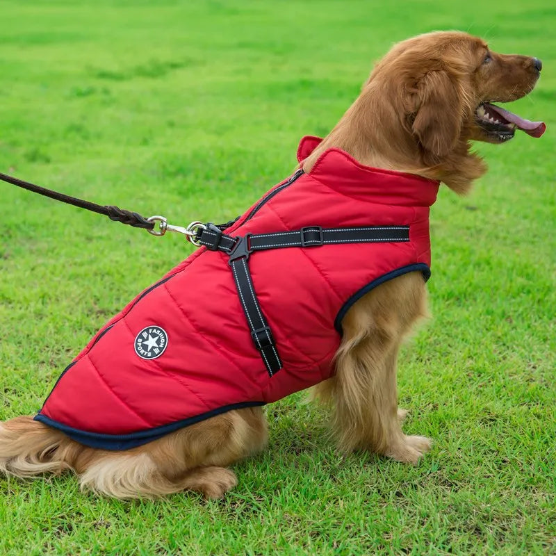 CDDMPET Veste Pour Chien Imperméable Chaude Grande Taille Harnais