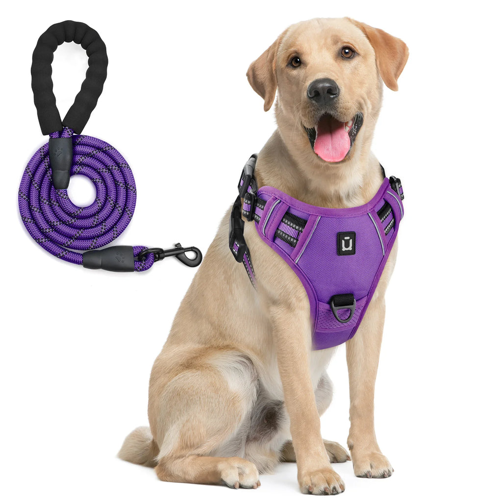 Harnais de gilet anti-fuite pour chien avec laisse – Réglable & réfléchissant