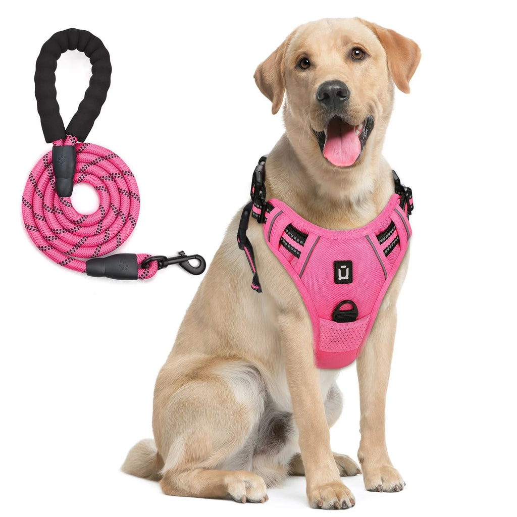 Harnais de gilet anti-fuite pour chien avec laisse – Réglable & réfléchissant
