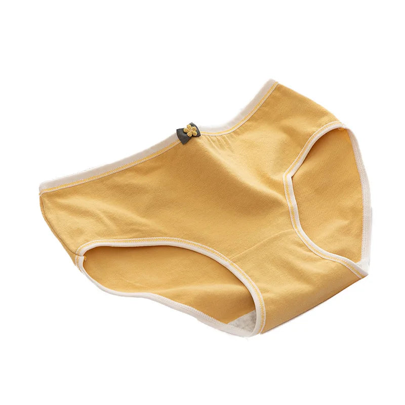 Jog MCERG Culotte Femme Coton Élasthanne Doux Lot de 10