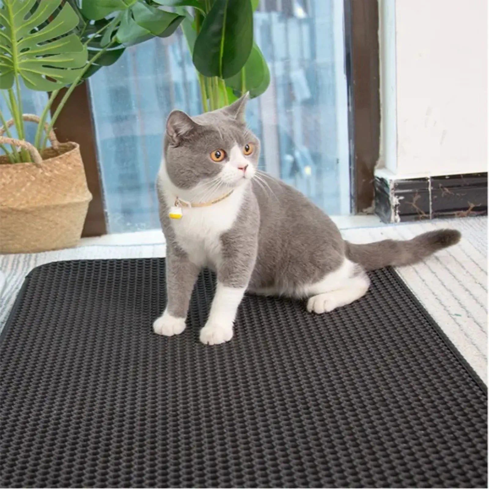 Cat Litter Mat Non Slip Big Pet Litter Box Filter Mat Double Layer Wear Resistant Waterproof Cat Litter Mat Pet Clean Supplies