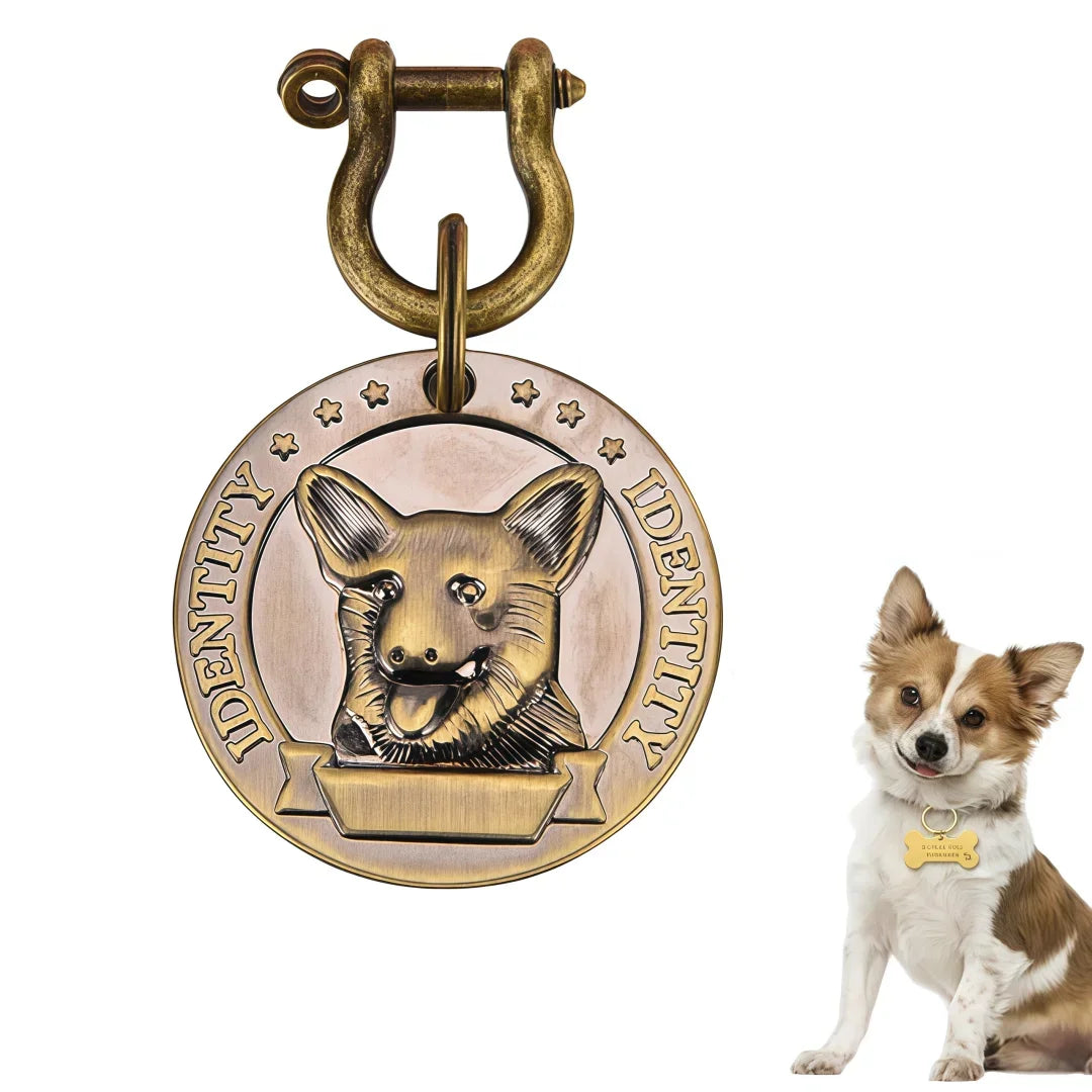 Médaille Gravée Personnalisée Pour Chien Et Chat Plaque Identité Bronze En Acier Inoxydable VIP Élégante Et Durable by LSDLBoutique