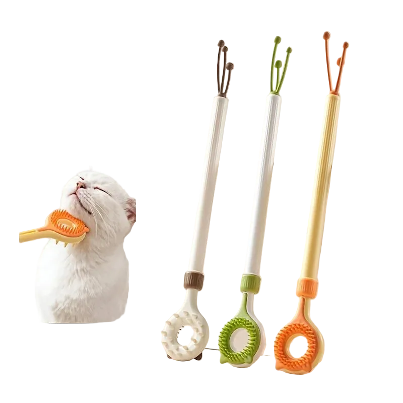 Grattoir rétractable et masseur double face pour chat – 2 en 1