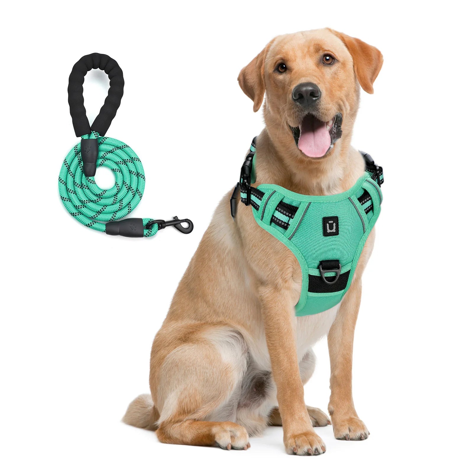Harnais de gilet anti-fuite pour chien avec laisse – Réglable & réfléchissant