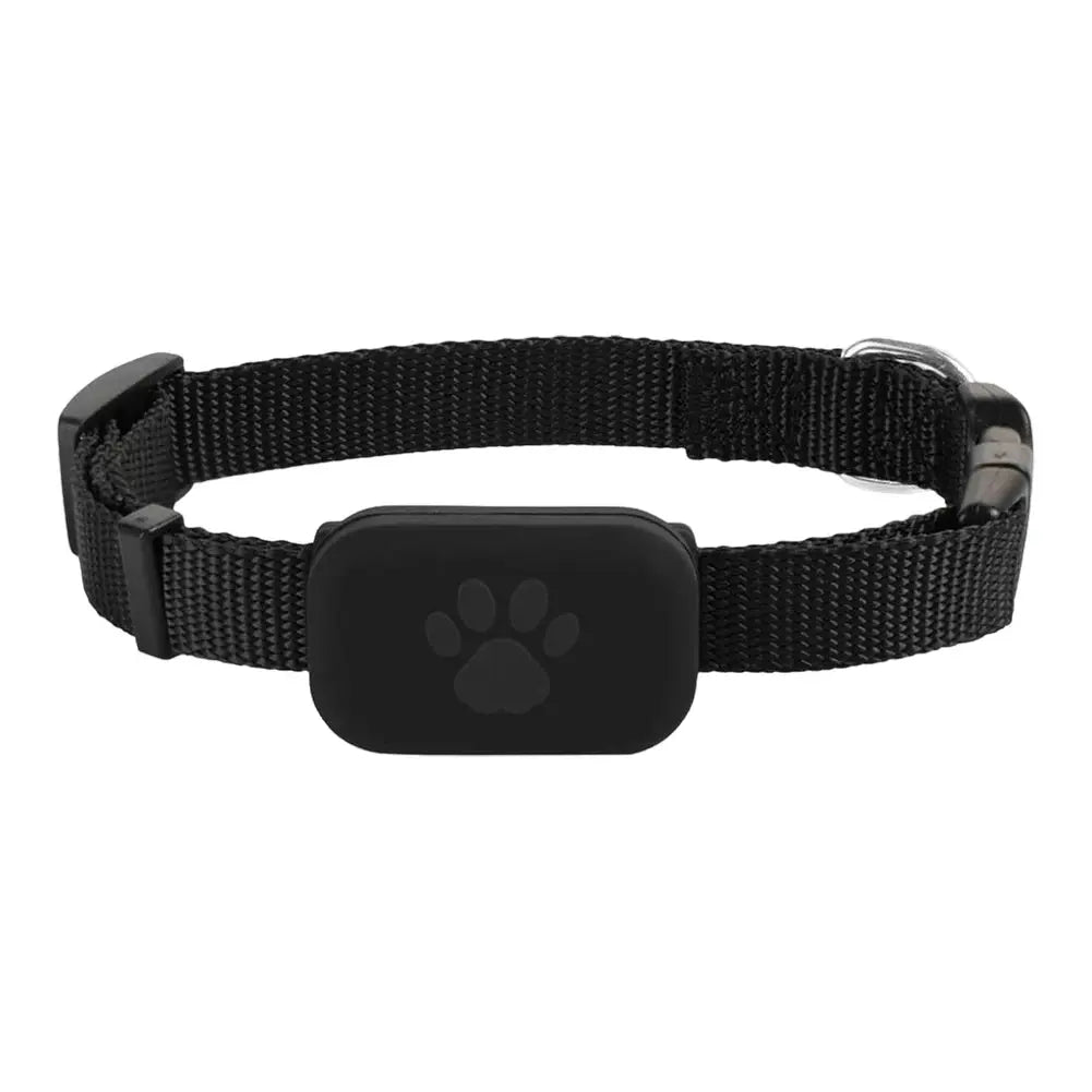 Traceur GPS pour animaux de compagnie sur collier réglable noir avec plaque noire à patte