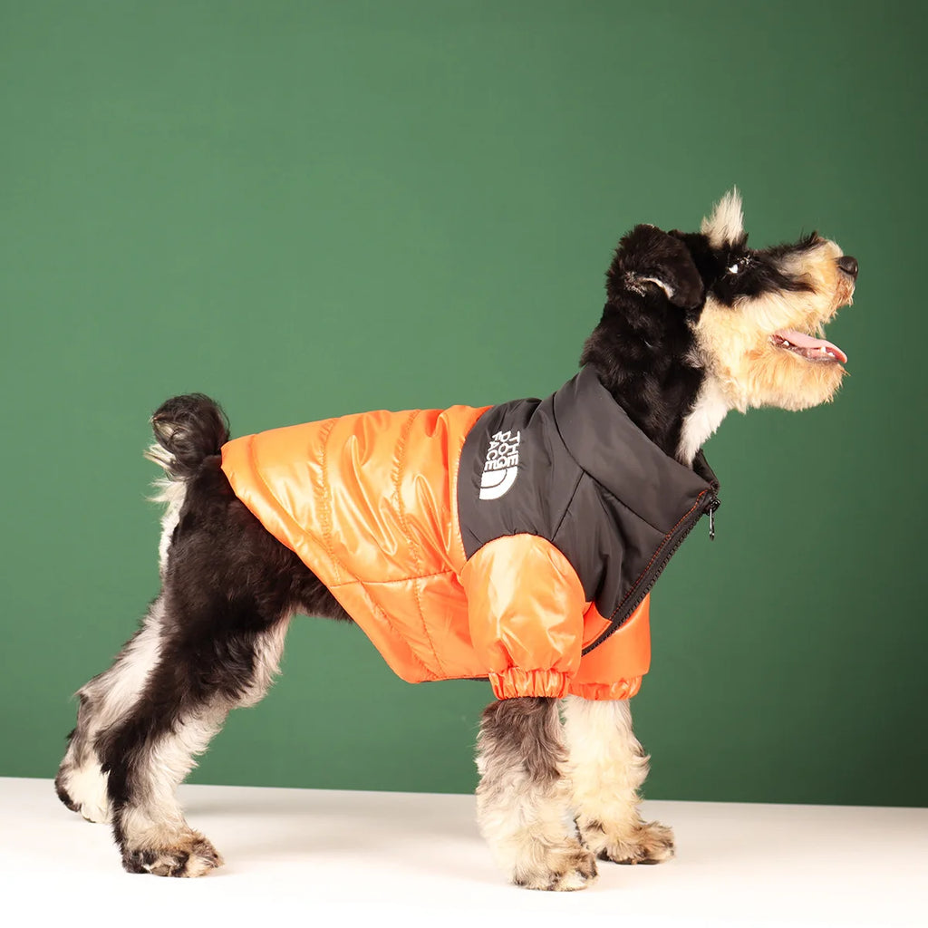 The Dog Face Veste Pour Chien Coupe Vent Polyester Vert