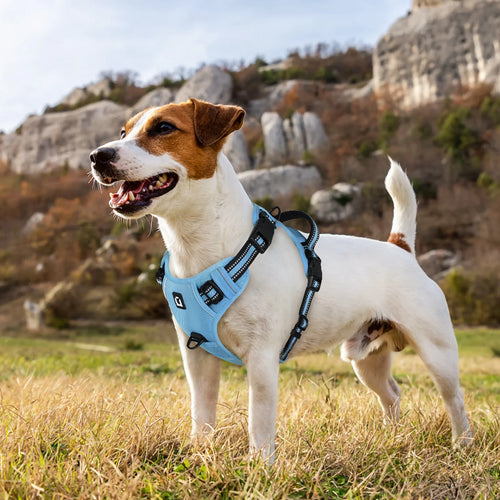 Harnais de gilet anti-fuite pour chien avec laisse – Réglable & réfléchissant