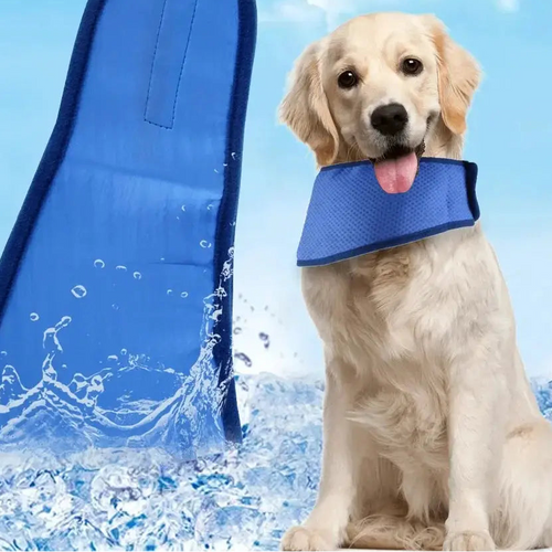 Bandana de Refroidissement pour Chien