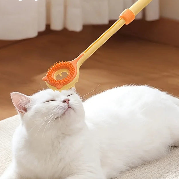 Grattoir rétractable et masseur double face pour chat – 2 en 1