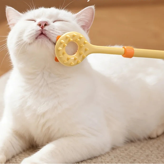 Grattoir rétractable et masseur double face pour chat – 2 en 1