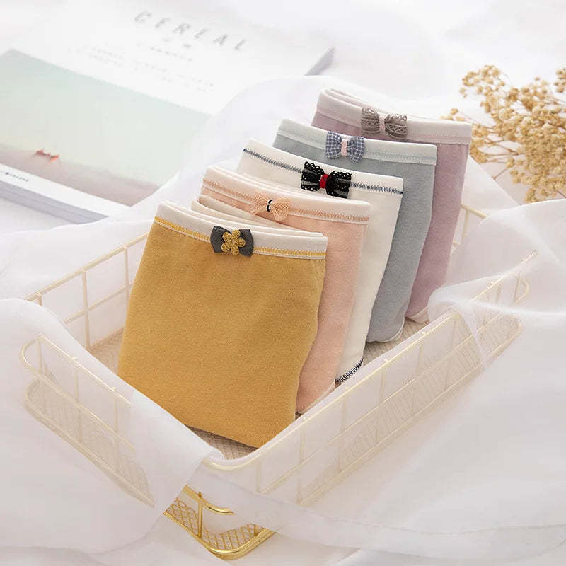 Jog MCERG Culotte Femme Coton Élasthanne Doux Lot de 10