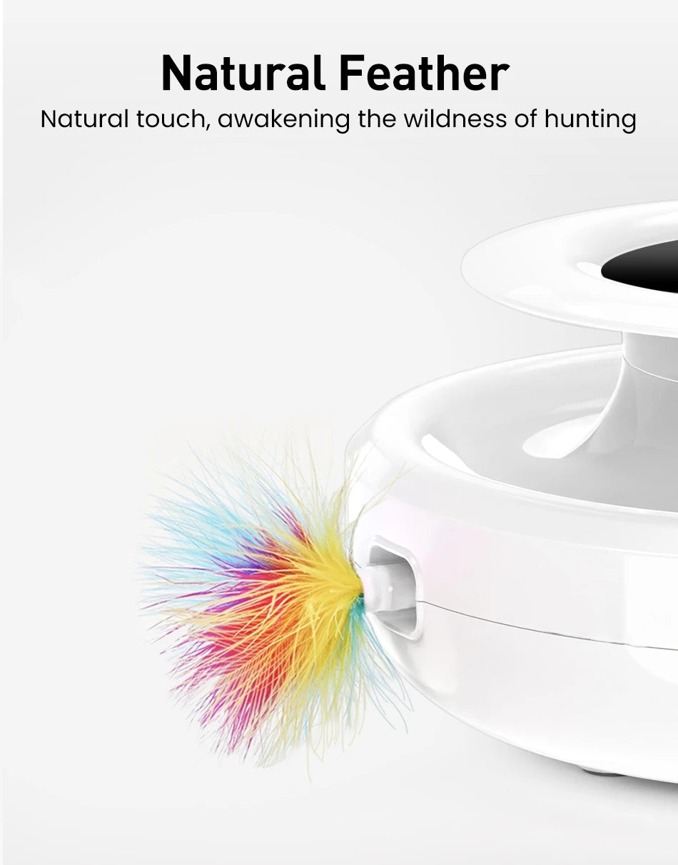 Jouet 2 En 1 Pour Chats Et Chiens Plumes Automatiques