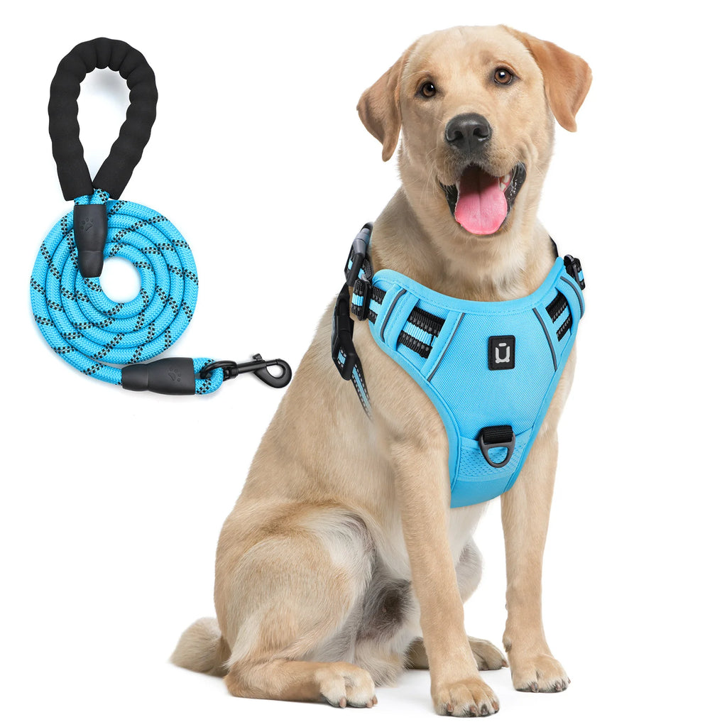 Harnais de gilet anti-fuite pour chien avec laisse – Réglable & réfléchissant