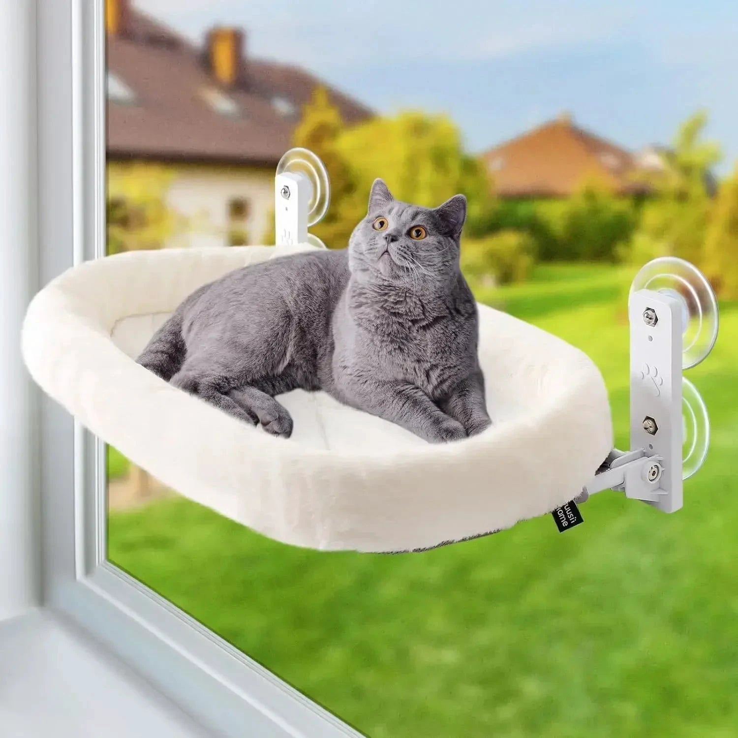 Hamac d’Hiver pour Chat – Habitat Fenêtre à Ventouses Renforcées - LSDLBoutique