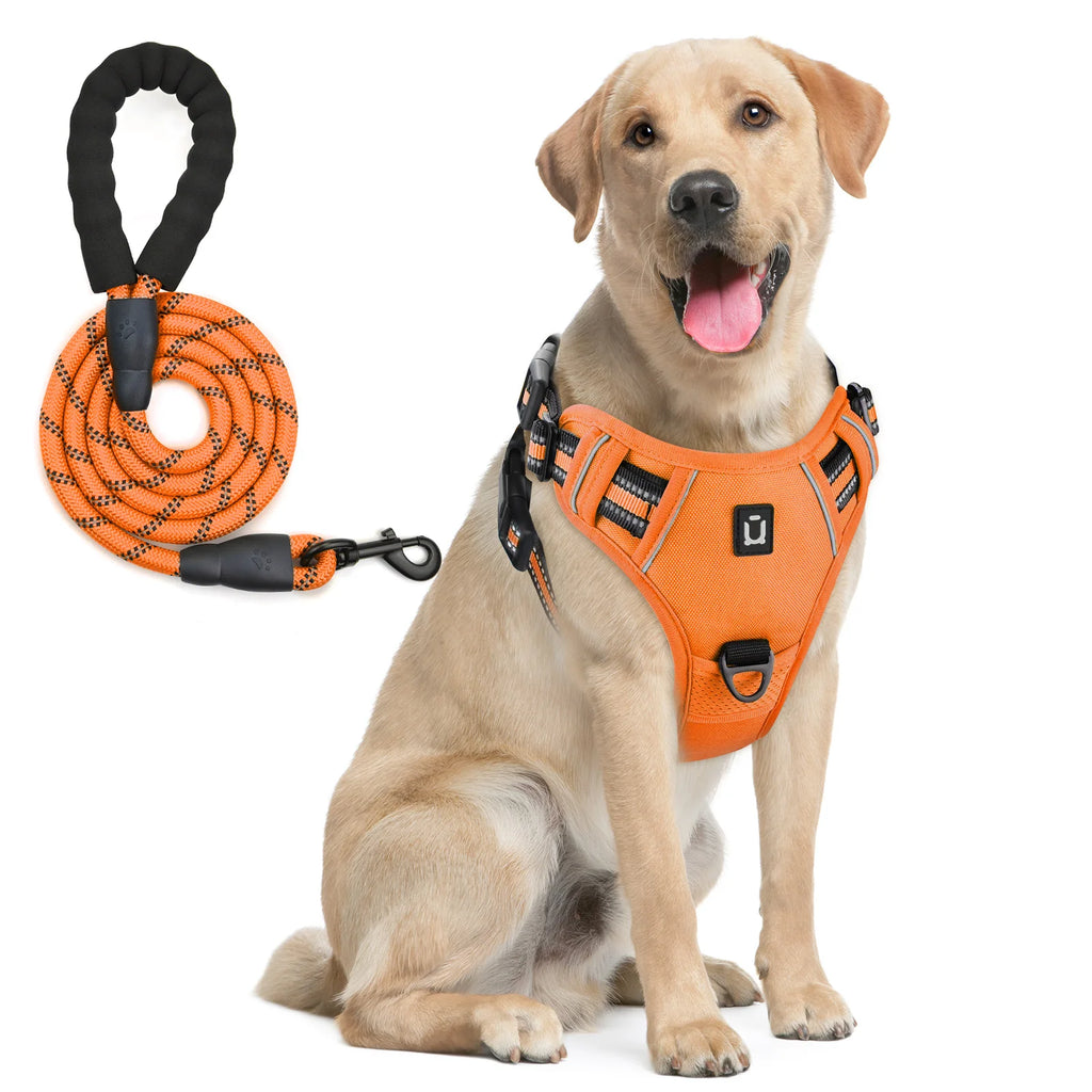 Harnais de gilet anti-fuite pour chien avec laisse – Réglable & réfléchissant