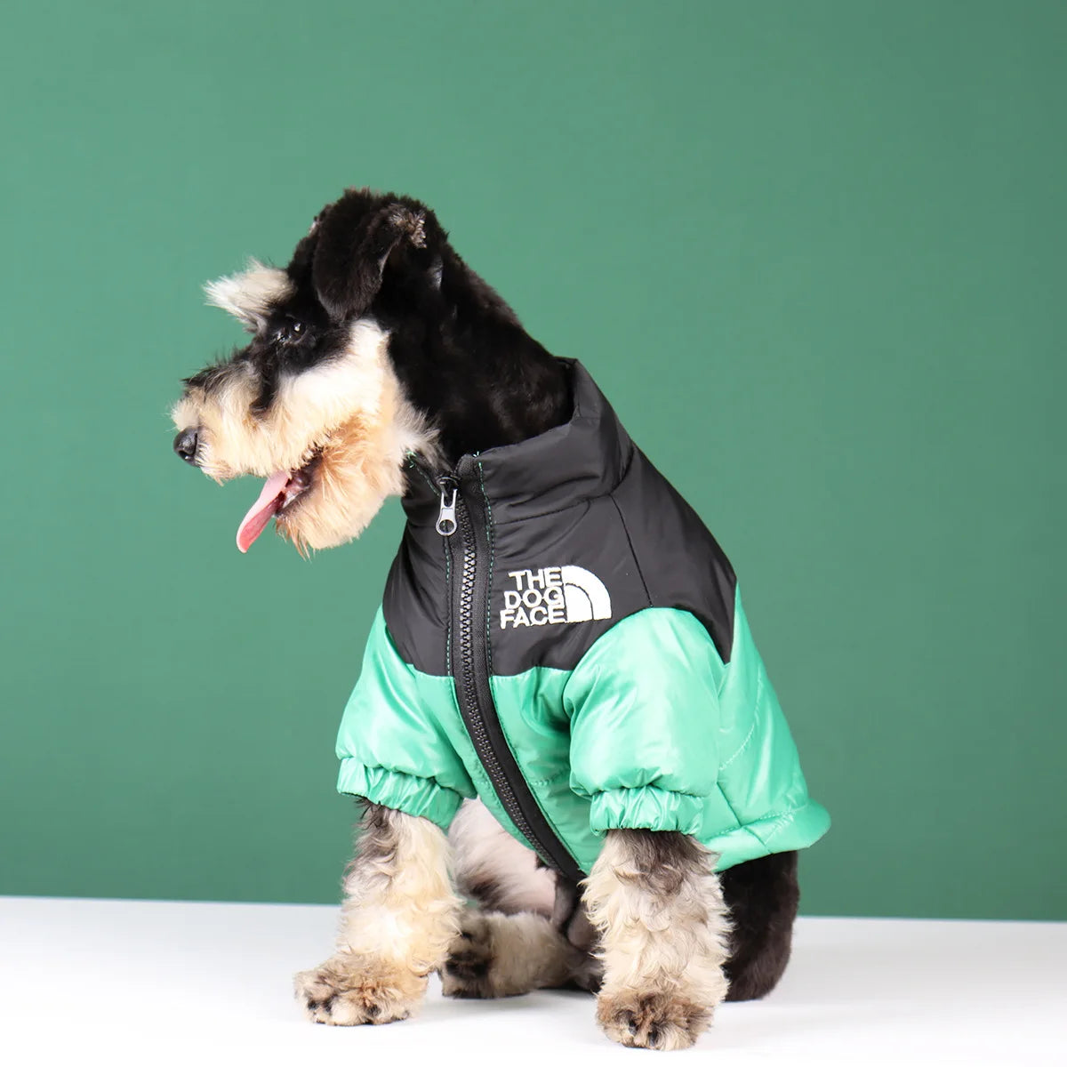 The Dog Face Veste Pour Chien Coupe Vent Polyester Vert