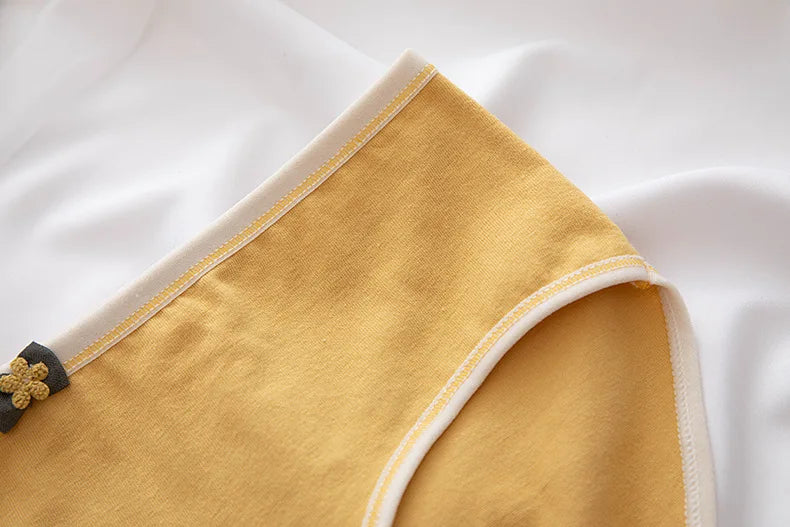 Jog MCERG Culotte Femme Coton Élasthanne Doux Lot de 10