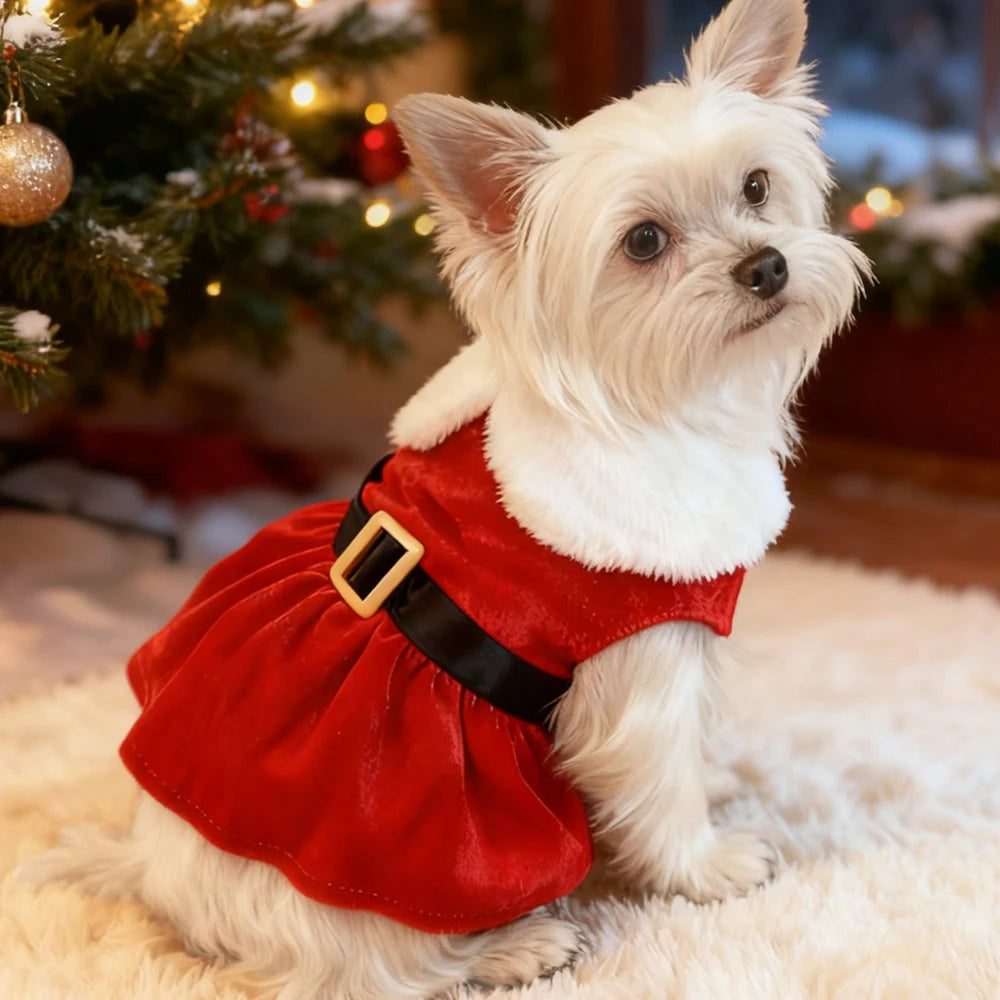 Robe Noël Rouge Avec Ceinture Noire Pour Petit Chien Et Chat